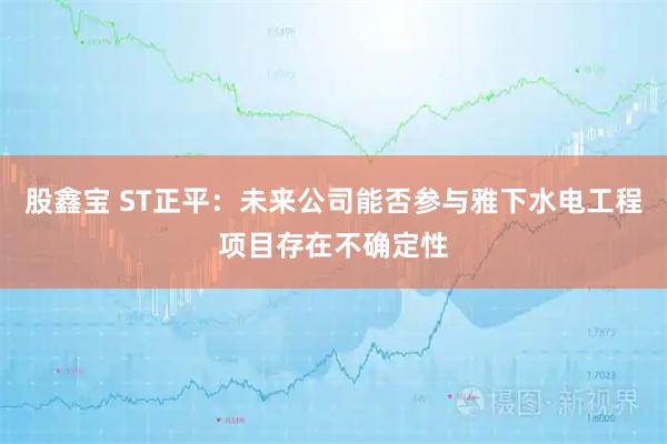 股鑫宝 ST正平：未来公司能否参与雅下水电工程项目存在不确定性